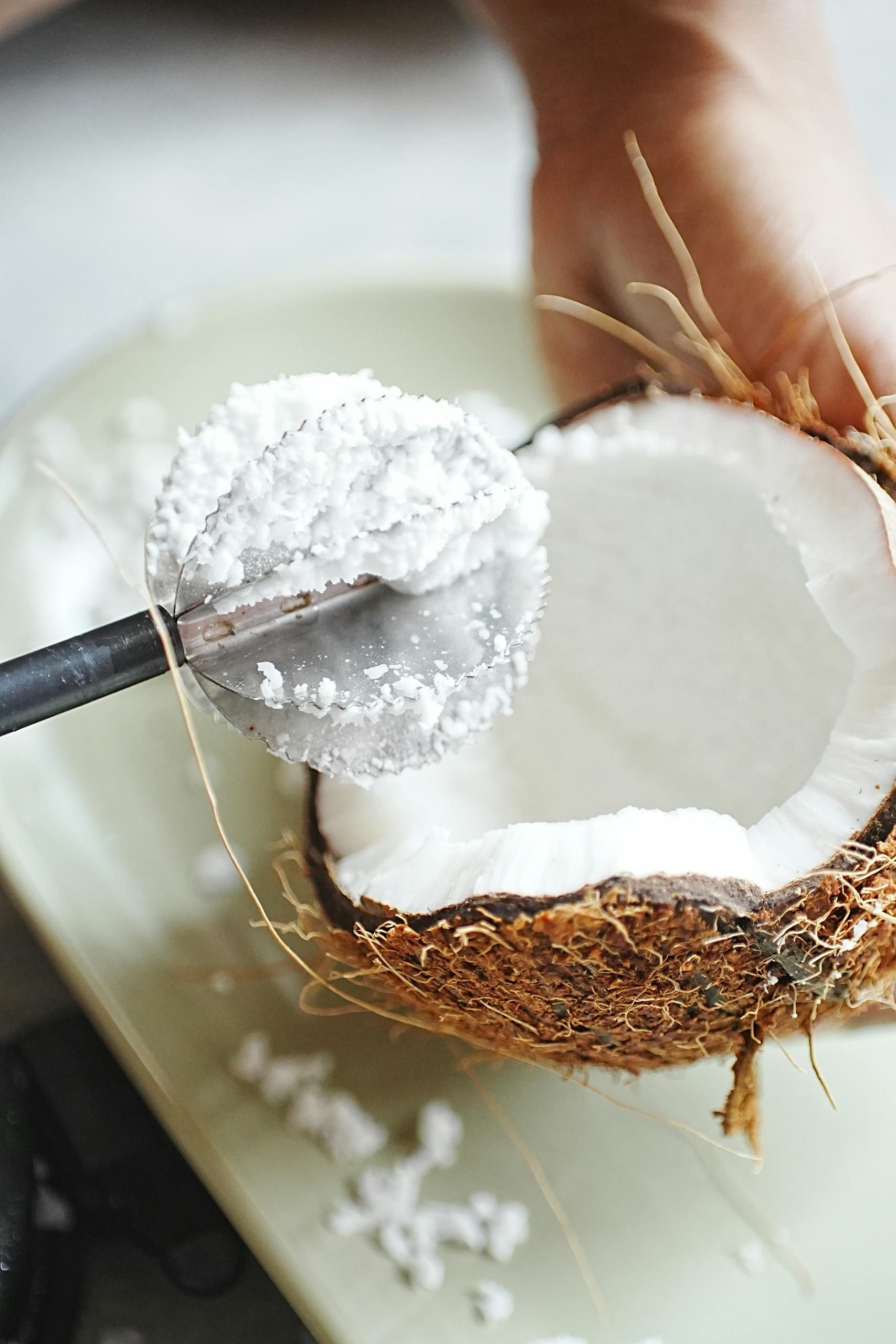 Close-up of a fresh coconut being scooped to reveal white, shredded coconut meat.